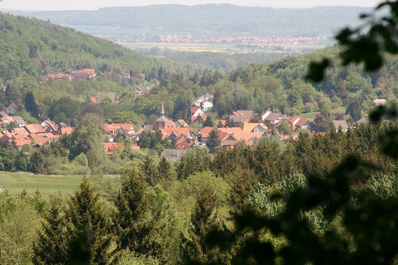 Haus Christa Daire Langelsheim Dış mekan fotoğraf